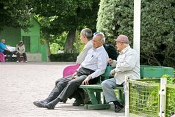 سرعت سالمندی در ایران ۳ برابر متوسط جهانی