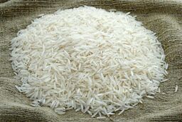 تولید برنج ایران بیشتر می‌شود
