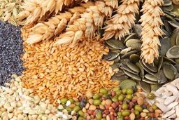 نعل وارونه در امنیت غذایی