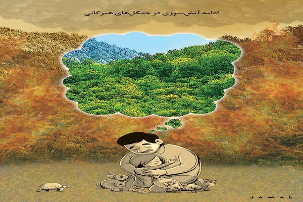 آتش‌سوزی جنگل‌های هیرکانی/ کاریکاتور جمال رحمتی