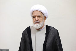 مهدی کروبی تجاوز رژیم صهیونیستی علیه ایران را محکوم کرد