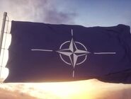 تنش میان ناتو و آمریکا بالا گرفت