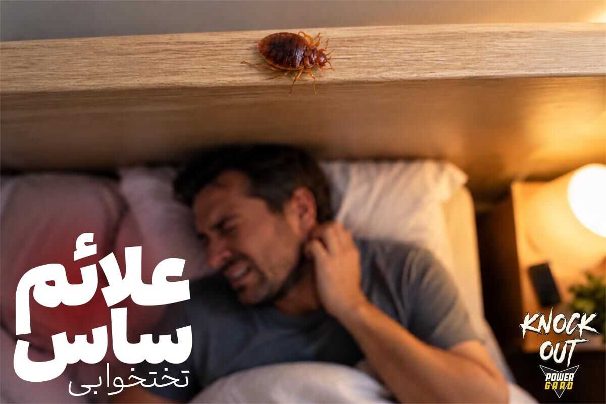 علائم ساس در منزل کدامند؟ (راهنمای متخصصان شرکت سمپاشی ساس ناک اوت)