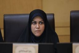 نماینده مجلس: لایحه حفظ کرامت زنان در نوبت صحن است