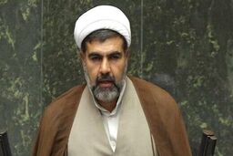 نماینده مجلس: شخص ترامپ مجرم اصلی اتفاقات اخیر است