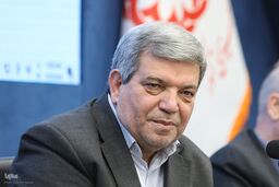 تأکید رئیس سازمان بهزیستی بر چرخش به سمت خانواده‌محوری

