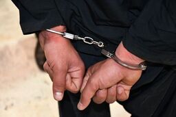 عوامل آتش‌سوزی مراتع ملی فارس بازداشت شدند