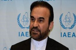 نجفی سفیر ایران در سازمان‌های بین‌المللی در وین شد
