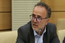نماینده مجلس: ابر بدهکاران بانکی بدون هیچ دغدغه‌ای اقتصاد کشور را نابود می‌کنند