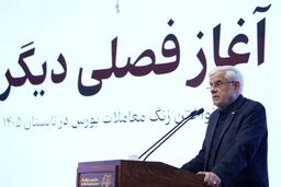 عارف: برنامه دولت حمایت از بازار سرمایه است
