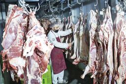 دغدغه گوشت/ اتحادیه مرکزی دام خواستار تشکیل فوری کارگروه ارزیابی خسارت به منظور حمایت از  تولیدکنندگان شد