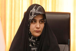جراره: دیپلماسی علمی ابزاری برای بازدارندگی نرم است