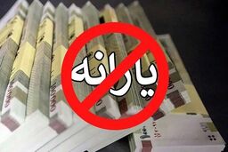 نماینده مجلس: فرآیند حذف یارانه بگیران شفاف نیست