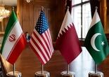 لاک‌پشت!