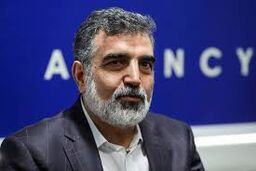 کمالوندی: ایران در احقاق حقوق خود محکم و مصمم است
