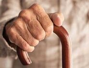 بیش از ۳۰ درصد ایرانی‌ها تا سال ۱۴۳۰ سالمند می‌شوند