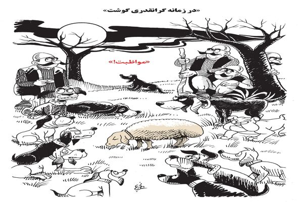گرانقدری گوشت/ کاریکاتور احمد عربانی