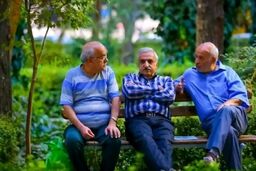 جدیدترین جزئیات از قانون بازنشستگی