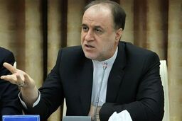 حاجی‌بابایی: مدیریت تنگه هرمز در دستور کار مجلس است

