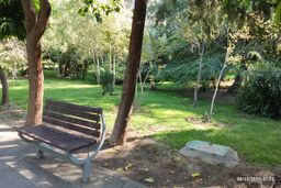 چمن سبز ، متهم به نابودی آب تهران