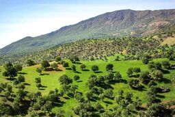 زاگرس دو برابر میانگین جهانی گرم شده است