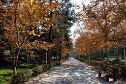 پیش‌بینی وضعیت آب‌وهوا؛ امروز دوشنبه اول دی 1404