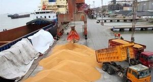 آزادسازی واردات نهاده‌های دامی و کالاهای اساسی