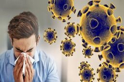 شایع‌ترین ویروس‌های آنفلوآنزا را بشناسید
