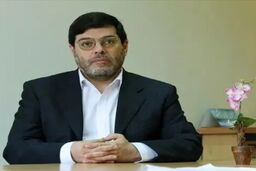 سید محمد مرندی: در مذاکرات روز یکشنبه ژنو توافق نهایی حاصل نمی‌شود