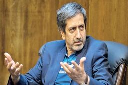 ظریفیان: دولت در معرض خطر ناتوانی با انتصاب افراد غیر هم‌فکر است