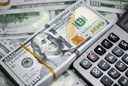تداوم روند صعودی قیمت ارز در بازار داخلی