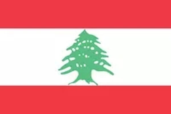 سیاستمداران
