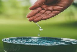 بحران آب در ایران؛ زنگ خطر برای امنیت غذایی و محیط‌زیست