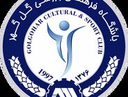 دستور وزیر ورزش برای بررسی پرونده معرفی زودهنگام گل‌گهر به AFC

