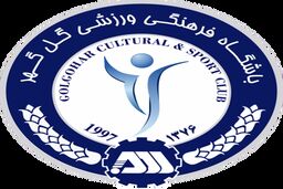 دستور وزیر ورزش برای بررسی پرونده معرفی زودهنگام گل‌گهر به AFC

