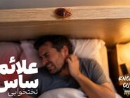 علائم ساس در منزل کدامند؟ (راهنمای متخصصان شرکت سمپاشی ساس ناک اوت)