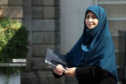 رئیس سازمان محیط زیست راهی اجلاس وزیران بریکس در هند شد
