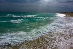 هشدار دریایی در بوشهر؛ وزش باد و گرد و غبار در راه است