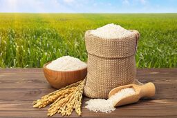 علت گران شدن برنج پاکستانی مشخص شد 