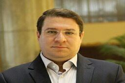 شورای اطلاع‌رسانی دولت به اظهارات  یک فرماندار درباره خبرنگاران واکنش نشان داد
