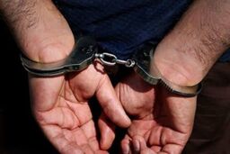 متجاوز کودکان تهرانی دستگیر شد