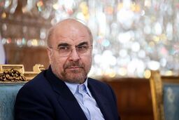 رئیس مجلس: برنامه هفتم توسعه مهمترین سند مسائل اقتصادی است

