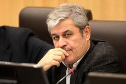 تاجگردون: در ارز ترجیحی هم چوب را خوردیم هم پیاز را