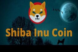 انفجار قیمت شیبا؛ آیا رالی صعودی SHIB ادامه‌دار خواهد بود؟