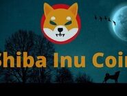 انفجار قیمت شیبا؛ آیا رالی صعودی SHIB ادامه‌دار خواهد بود؟