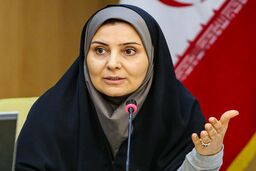 فرزانه صادق خواستار انتقال تکنولوژی ساخت مسکن اجتماعی و مقاوم‌سازی از چین شد
