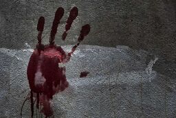جزئیات قتل در تهران با دستور سرایدار 