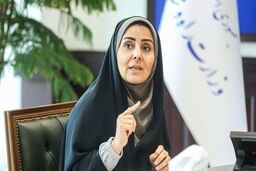 
سیاست دولت چهاردهم «درهای باز به روی بخش خصوصی» است
