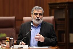 کمالوندی: تمرکز ما بر همکاری هسته‌ای با روسیه است