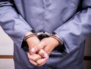 وزارت اطلاعات: دستگیری لیدرهای خرابکاری و ترور در تهران